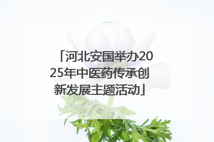 河北安国举办2025年中医药传承创新发展主题活动