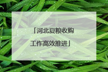 河北夏粮收购工作高效推进