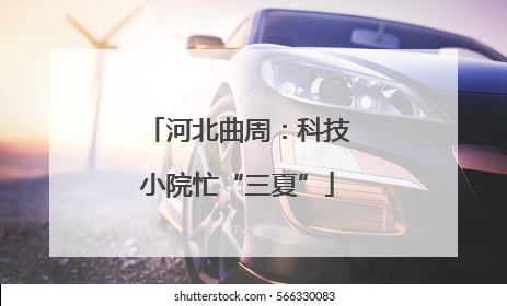 河北曲周：科技小院忙“三夏”