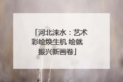 河北涞水：艺术彩绘焕生机 绘就振兴新画卷