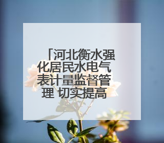 河北衡水强化居民水电气表计量监督管理 切实提高服务质量和水平