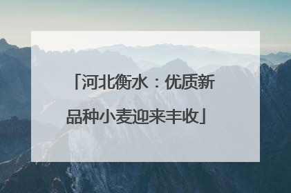 河北衡水：优质新品种小麦迎来丰收
