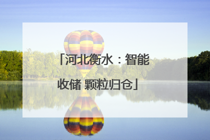 河北衡水：智能收储 颗粒归仓