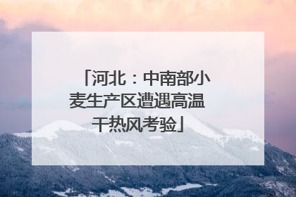 河北：中南部小麦生产区遭遇高温干热风考验