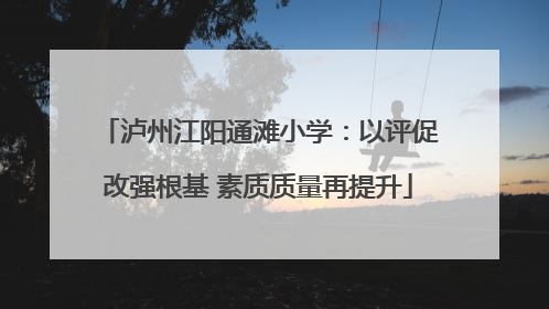 泸州江阳通滩小学：以评促改强根基 素质质量再提升