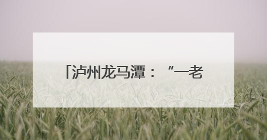 泸州龙马潭：“一老一小”服务落地有声 幸福生活近在咫尺