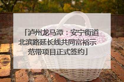 泸州龙马潭：安宁街道北滨路延长线共同富裕示范带项目正式签约