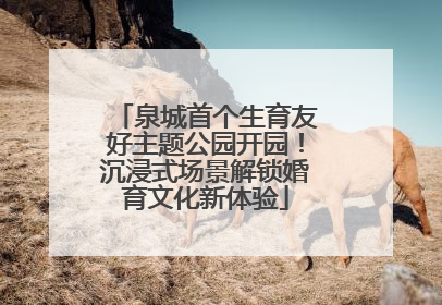 泉城首个生育友好主题公园开园！沉浸式场景解锁婚育文化新体验
