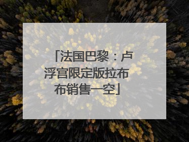 法国巴黎：卢浮宫限定版拉布布销售一空