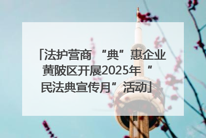 法护营商 “典”惠企业 黄陂区开展2025年“民法典宣传月”活动