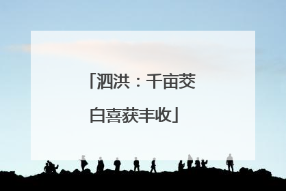 泗洪：千亩茭白喜获丰收