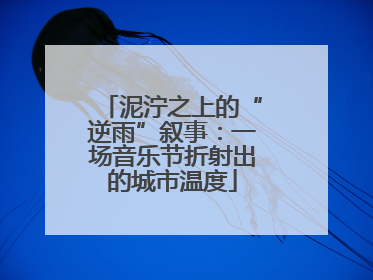 泥泞之上的“逆雨”叙事：一场音乐节折射出的城市温度