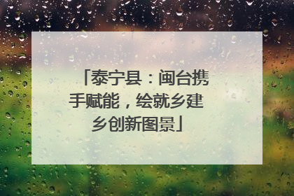 泰宁县：闽台携手赋能，绘就乡建乡创新图景