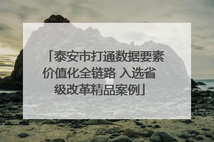 泰安市打通数据要素价值化全链路 入选省级改革精品案例