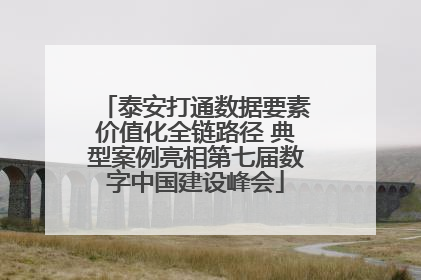 泰安打通数据要素价值化全链路径 典型案例亮相第七届数字中国建设峰会