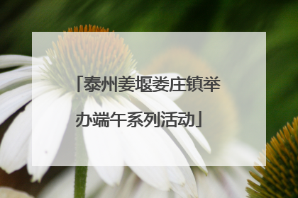 泰州姜堰娄庄镇举办端午系列活动