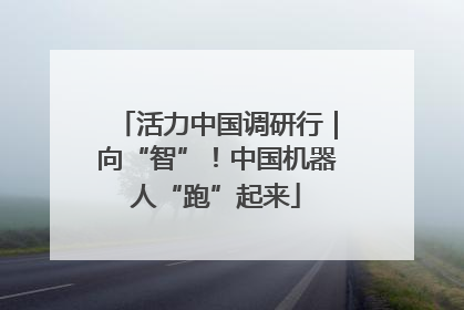 活力中国调研行｜向“智”！中国机器人“跑”起来