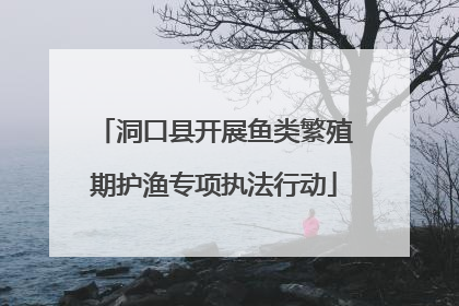 洞口县开展鱼类繁殖期护渔专项执法行动