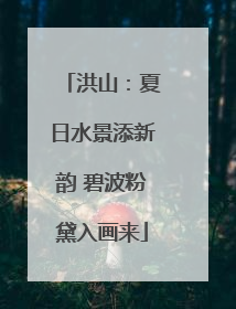 洪山：夏日水景添新韵 碧波粉黛入画来