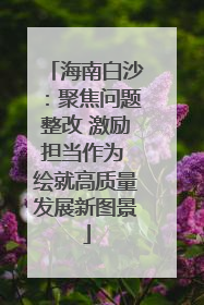 海南白沙：聚焦问题整改 激励担当作为 绘就高质量发展新图景