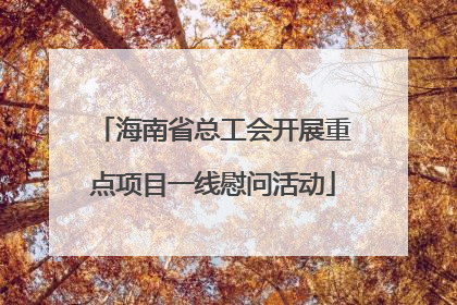 海南省总工会开展重点项目一线慰问活动