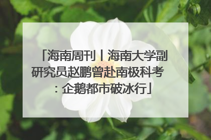 海南周刊丨海南大学副研究员赵鹏曾赴南极科考：企鹅都市破冰行