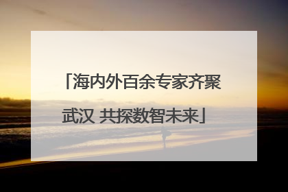 海内外百余专家齐聚武汉 共探数智未来