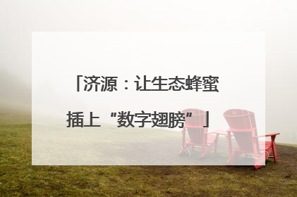 济源：让生态蜂蜜插上“数字翅膀”