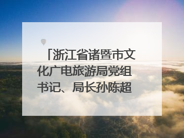 浙江省诸暨市文化广电旅游局党组书记、局长孙陈超：以“西施”IP激活全域旅游 打造县域文旅融合新标杆｜第七届全国县域旅游研究成果发布系列活动