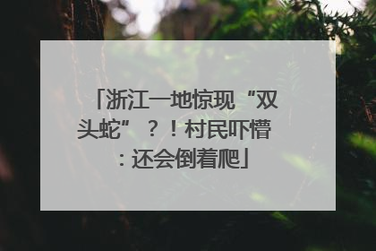 浙江一地惊现“双头蛇”？！村民吓懵：还会倒着爬