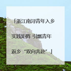 浙江南浔青年入乡实践矩阵 引燃青年返乡“双向奔赴”