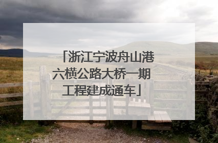 浙江宁波舟山港六横公路大桥一期工程建成通车