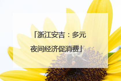 浙江安吉：多元夜间经济促消费