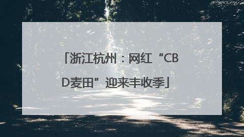 浙江杭州：网红“CBD麦田”迎来丰收季