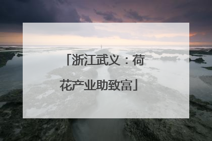 浙江武义：荷花产业助致富