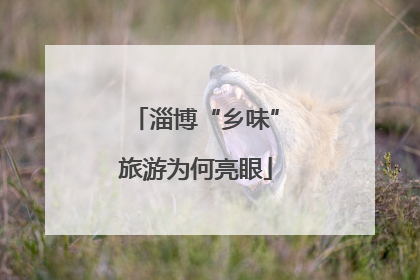 淄博“乡味”旅游为何亮眼