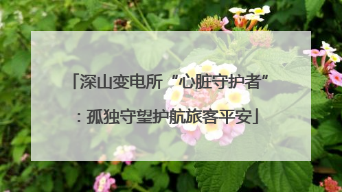 深山变电所“心脏守护者”：孤独守望护航旅客平安