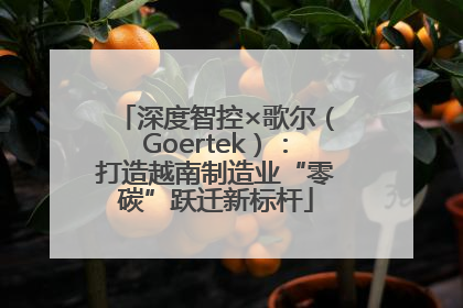 深度智控×歌尔（Goertek）：打造越南制造业“零碳”跃迁新标杆
