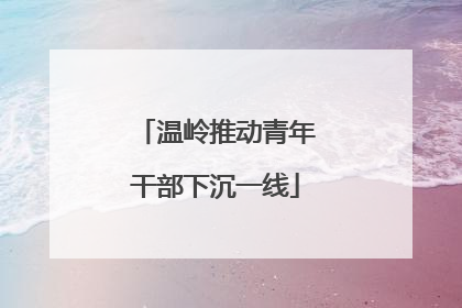 温岭推动青年干部下沉一线