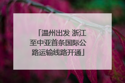 温州出发 浙江至中亚首条国际公路运输线路开通