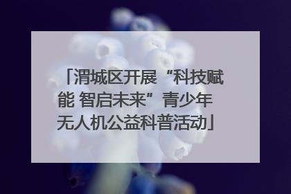 渭城区开展“科技赋能 智启未来”青少年无人机公益科普活动
