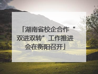 湖南省校企合作“双进双转”工作推进会在衡阳召开