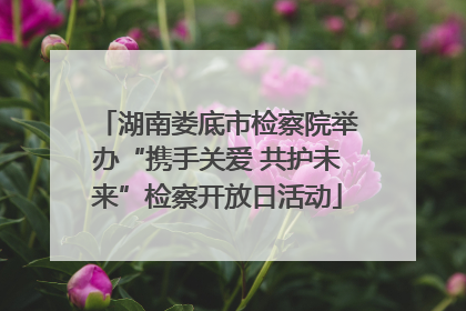 湖南娄底市检察院举办“携手关爱 共护未来”检察开放日活动