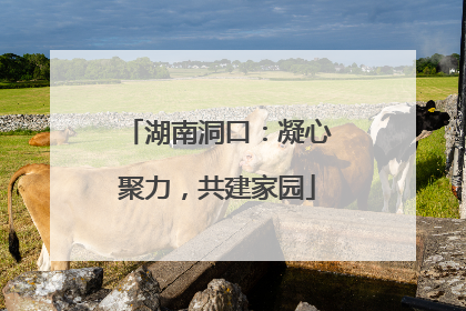 湖南洞口：凝心聚力，共建家园