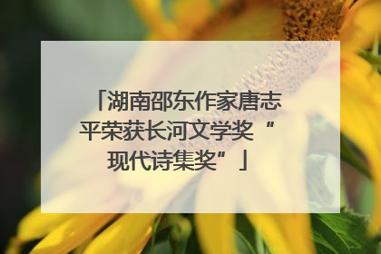 湖南邵东作家唐志平荣获长河文学奖“现代诗集奖”