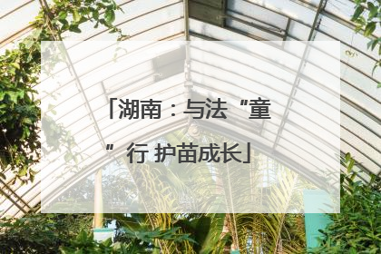 湖南：与法“童”行 护苗成长