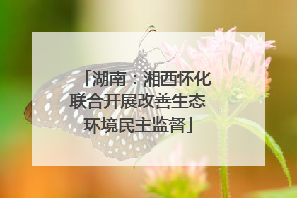 湖南：湘西怀化联合开展改善生态环境民主监督