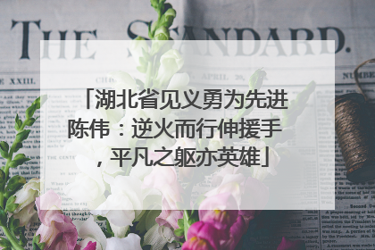 湖北省见义勇为先进陈伟：逆火而行伸援手，平凡之躯亦英雄