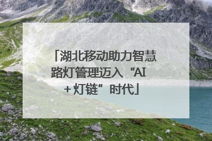 湖北移动助力智慧路灯管理迈入“AI＋灯链”时代