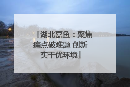 湖北嘉鱼：聚焦痛点破难题 创新实干优环境